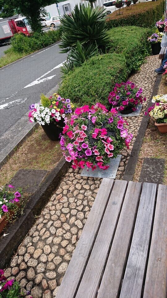 お花綺麗だねって