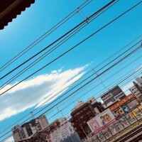 グモニ☀️🌱