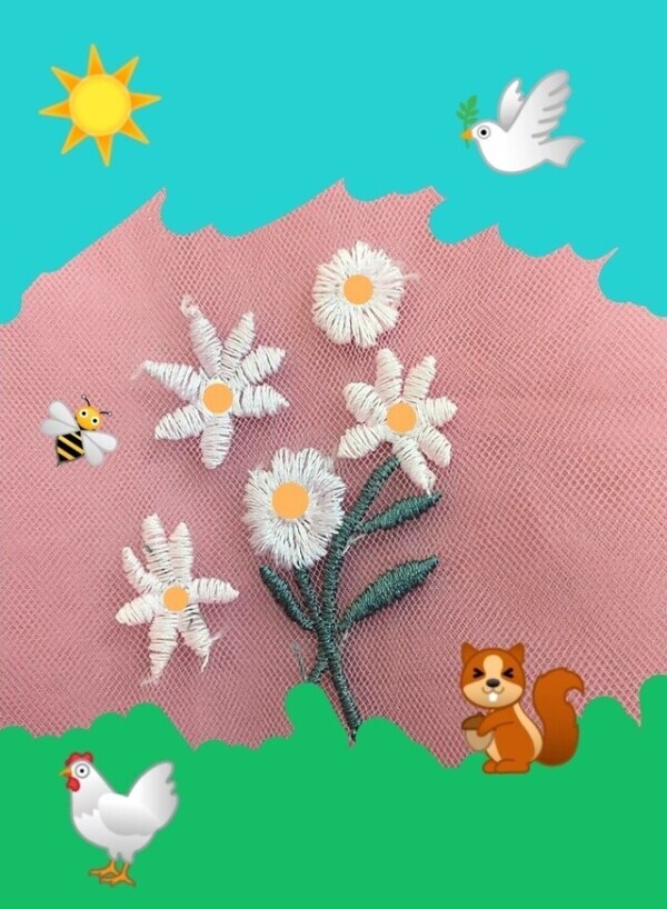 梅雨入り前の🐇
