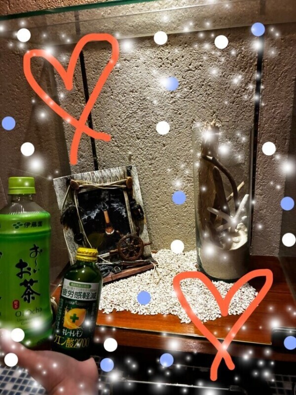 お礼(՞_  ̫ _՞)"本Nさま◡̈⃝˖*