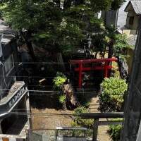 かどえびと神社とわたし🦐⛩‪👵🫧‪