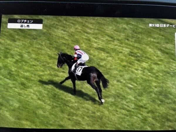 日本ダービー🏁🏇🏇🏇🏇🏇