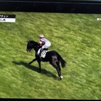 日本ダービー🏁🏇🏇🏇🏇🏇