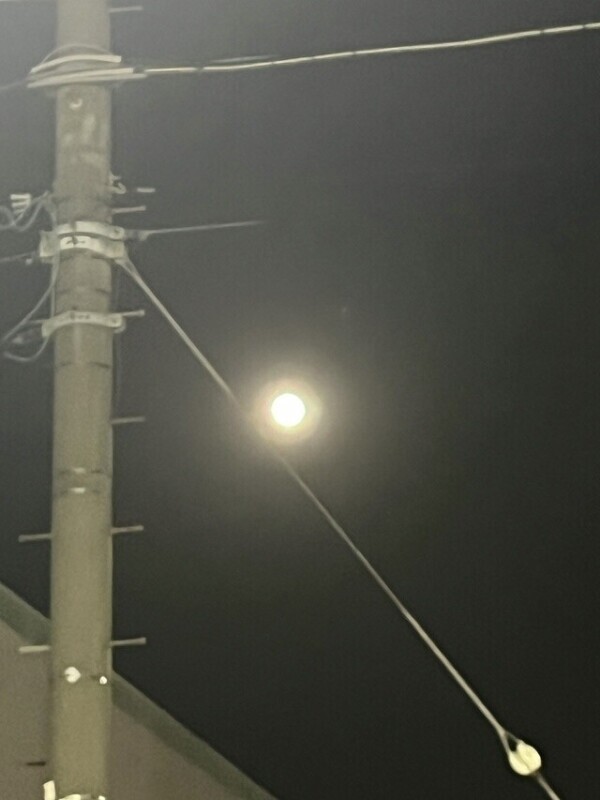 6月🪷