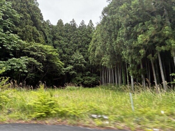 熊手荘🐻‍
