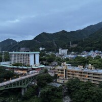 ｵﾊﾖｳｺﾞｻﾞｲﾏｽ( ¯⌓¯ )ᐝ