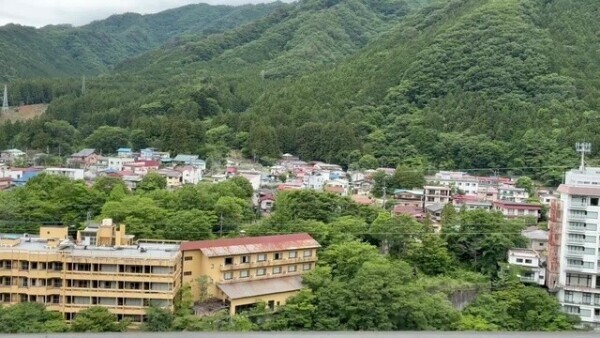 おはようございます☀️｡°