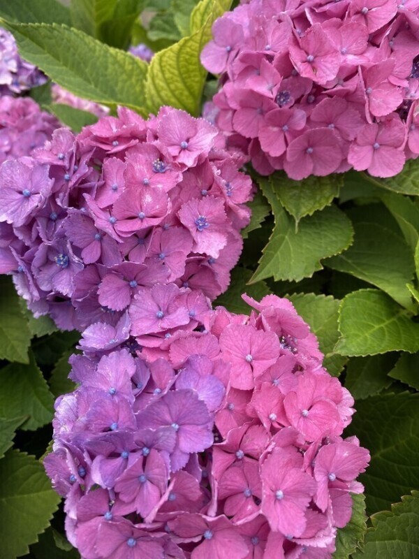 ご予約ありがとうございます♡