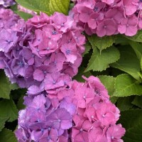 ご予約ありがとうございます♡