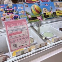 ドラクエの31