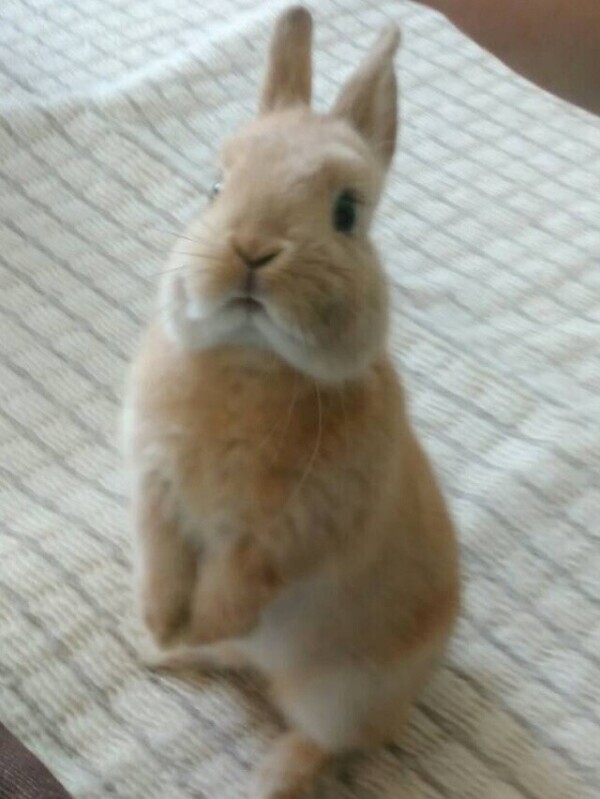 バカなの？アホなの？