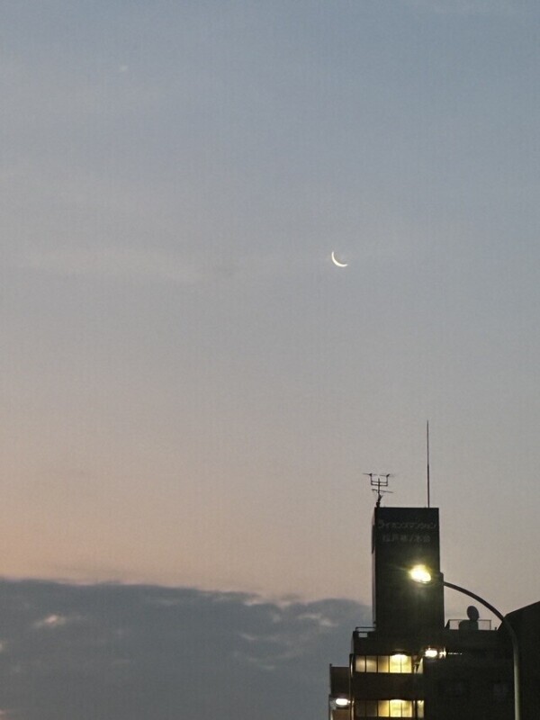 月に代わってお仕置きよ🌙* :ﾟ