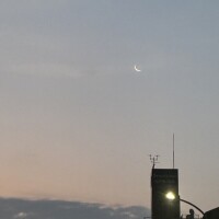 月に代わってお仕置きよ🌙* :ﾟ