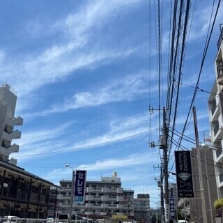 しましま