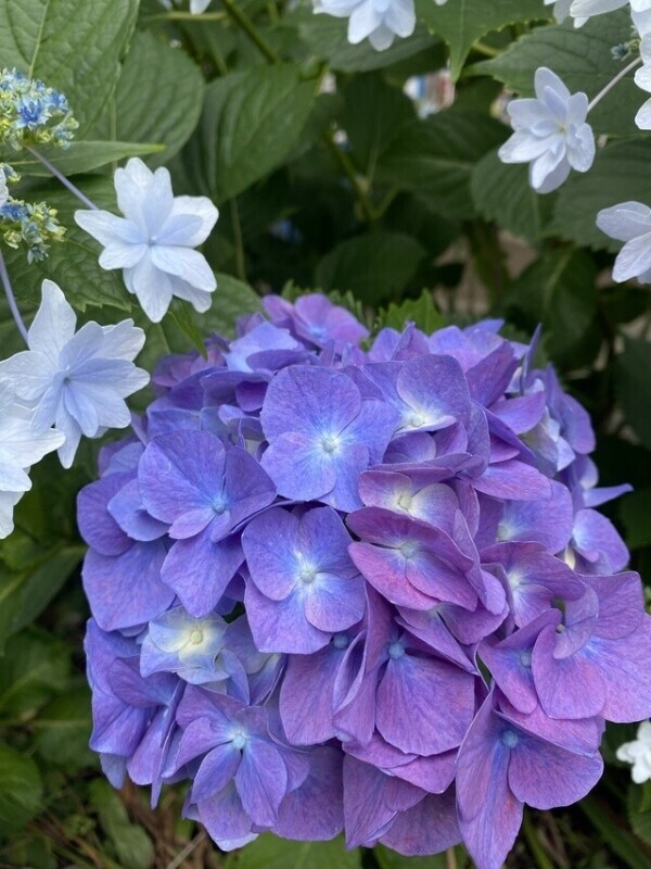 おはようございます♡