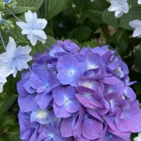 おはようございます♡