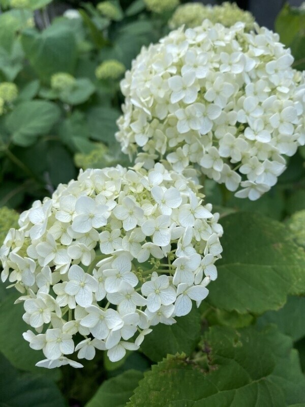 明日のご予約ありがとうございます♡