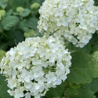 明日のご予約ありがとうございます♡