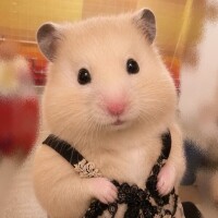 🐹