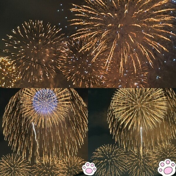 image0.jpeg