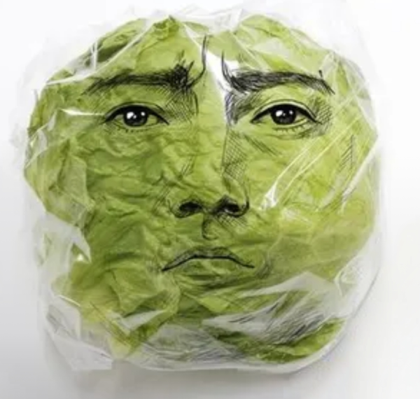 image0.png