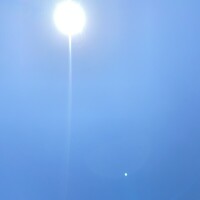 応援団長📣