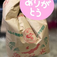 ※