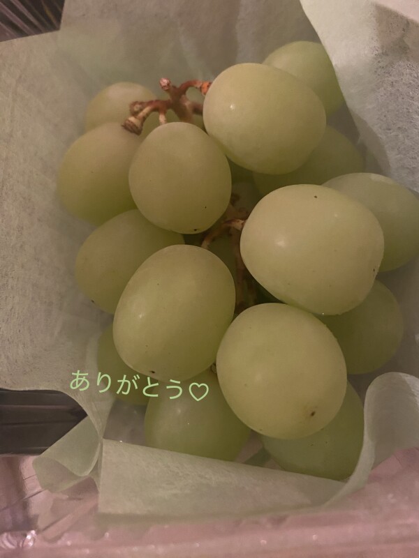 image1.jpeg
