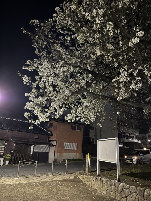 旬は一瞬
