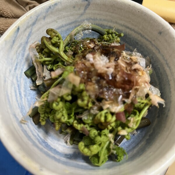 春がきた〜
