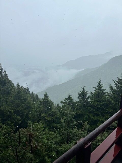 image0.jpeg