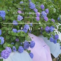 占いが当たった !!