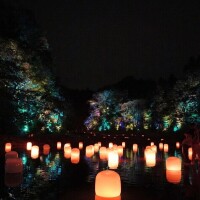 気になる〜
