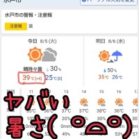 ３９℃⁉️