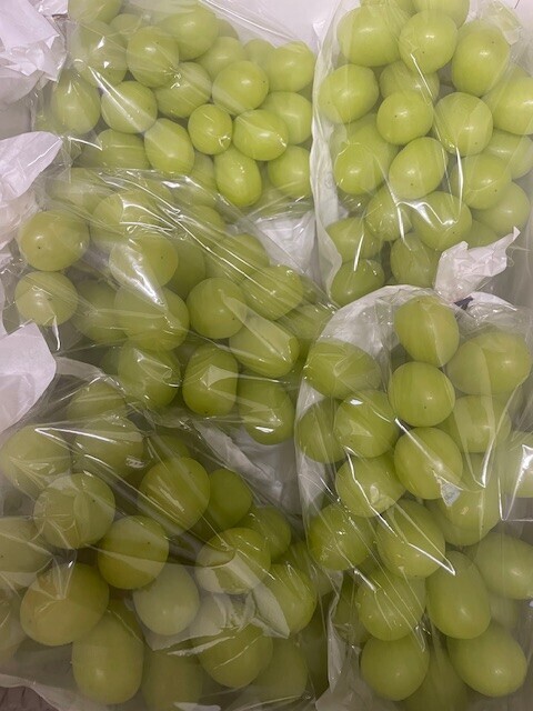 image0.jpeg