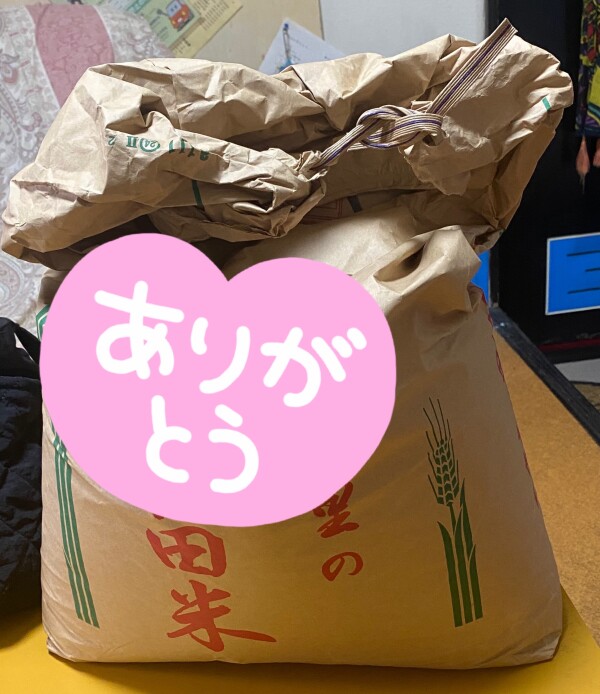 image1.jpeg