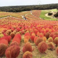 イキたかった…♡