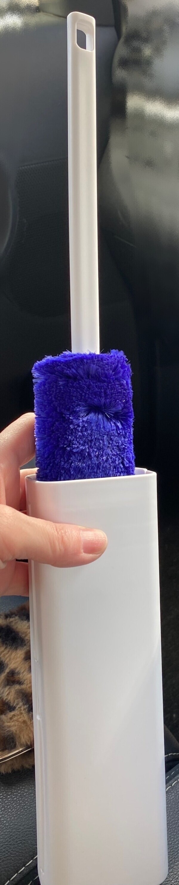 ごきげんよう🎵