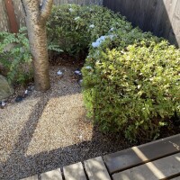 昨日車乗った人、乗らない人