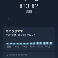 雨