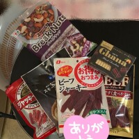 夕方までが勝負！！