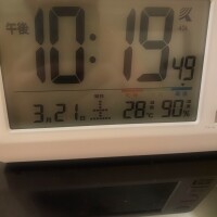 熱帯雨林気候🌴