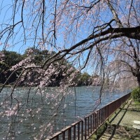 変更ですっ！！