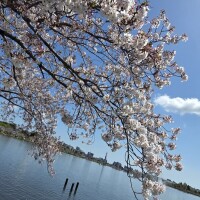 ぼっち。ツアー。
