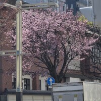れいか