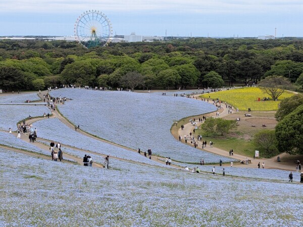 こんにちは☀️