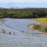 こんにちは☀️