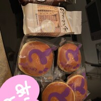 今日はお休みです