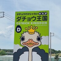 さつき
