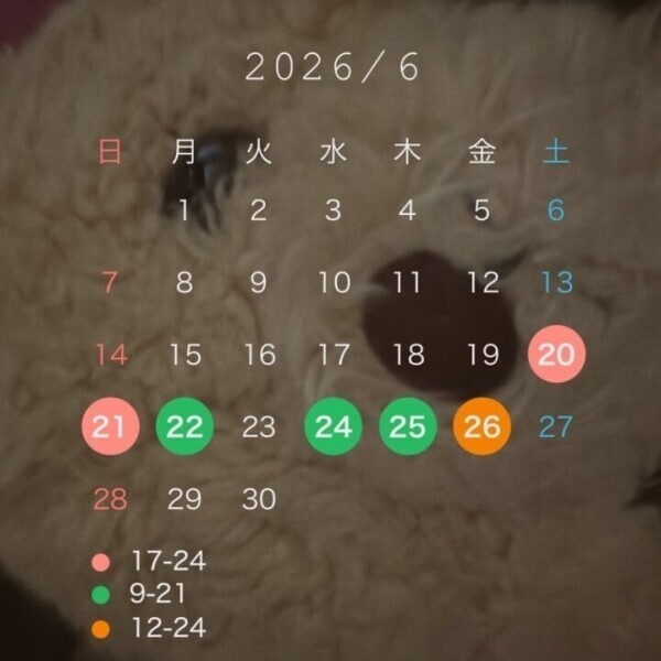今日から🙋‍♂️